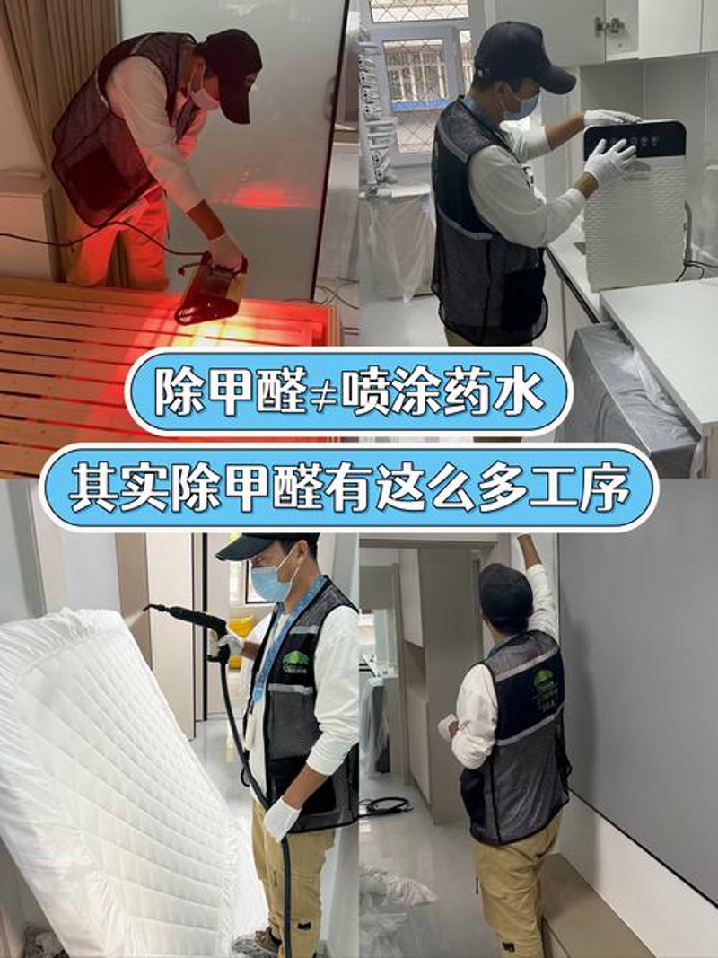 除甲醛服务